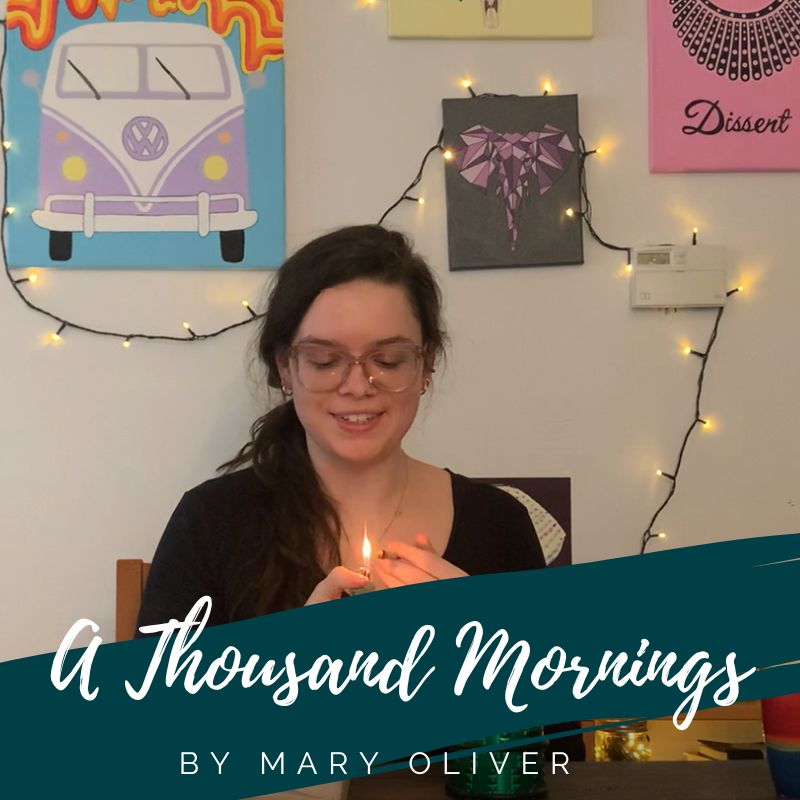 Puffs & Poetry: A Thousand Mornings by Mary Oliver