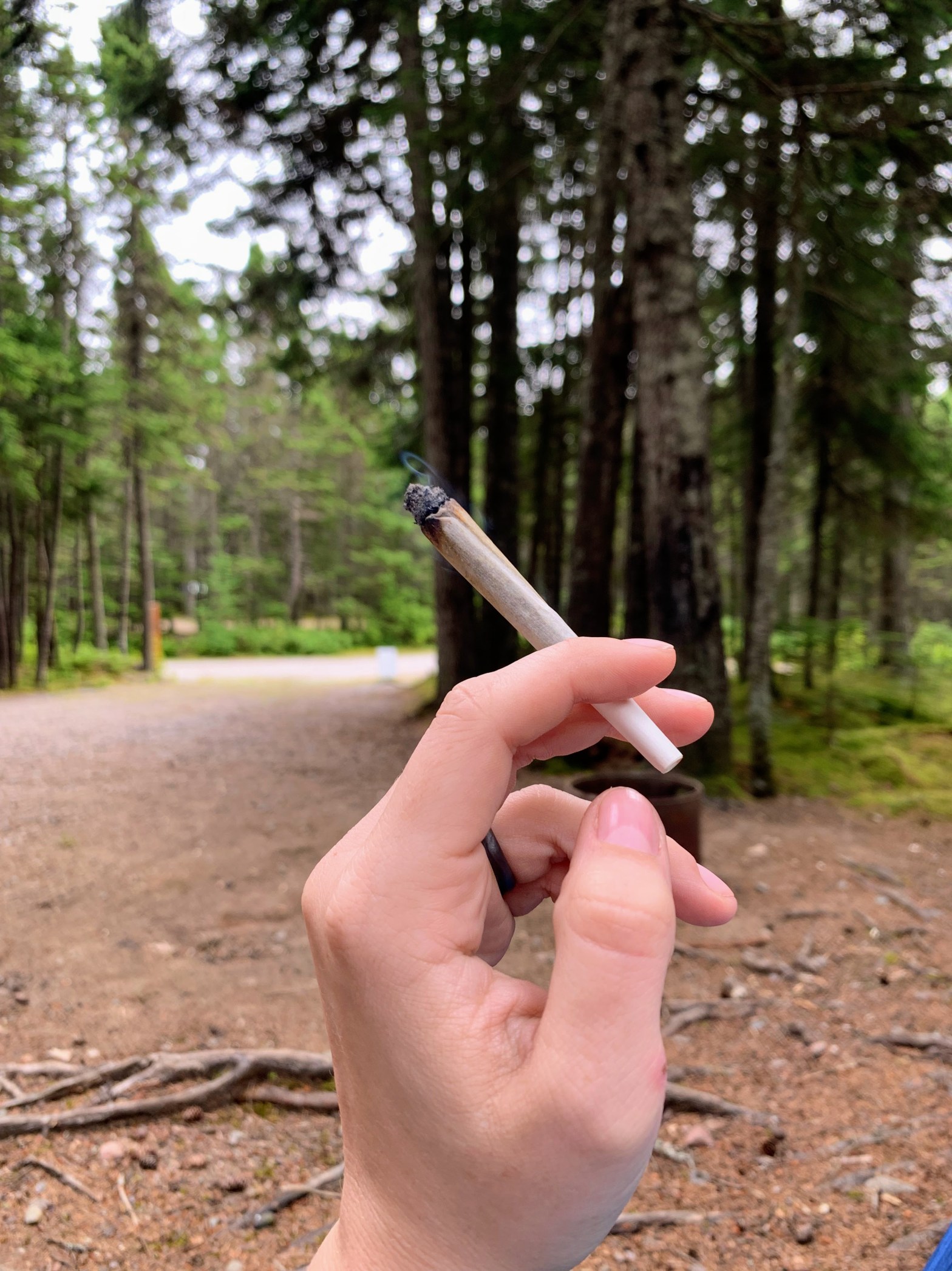 How to Easily Roll Joints – Even If You Can’t