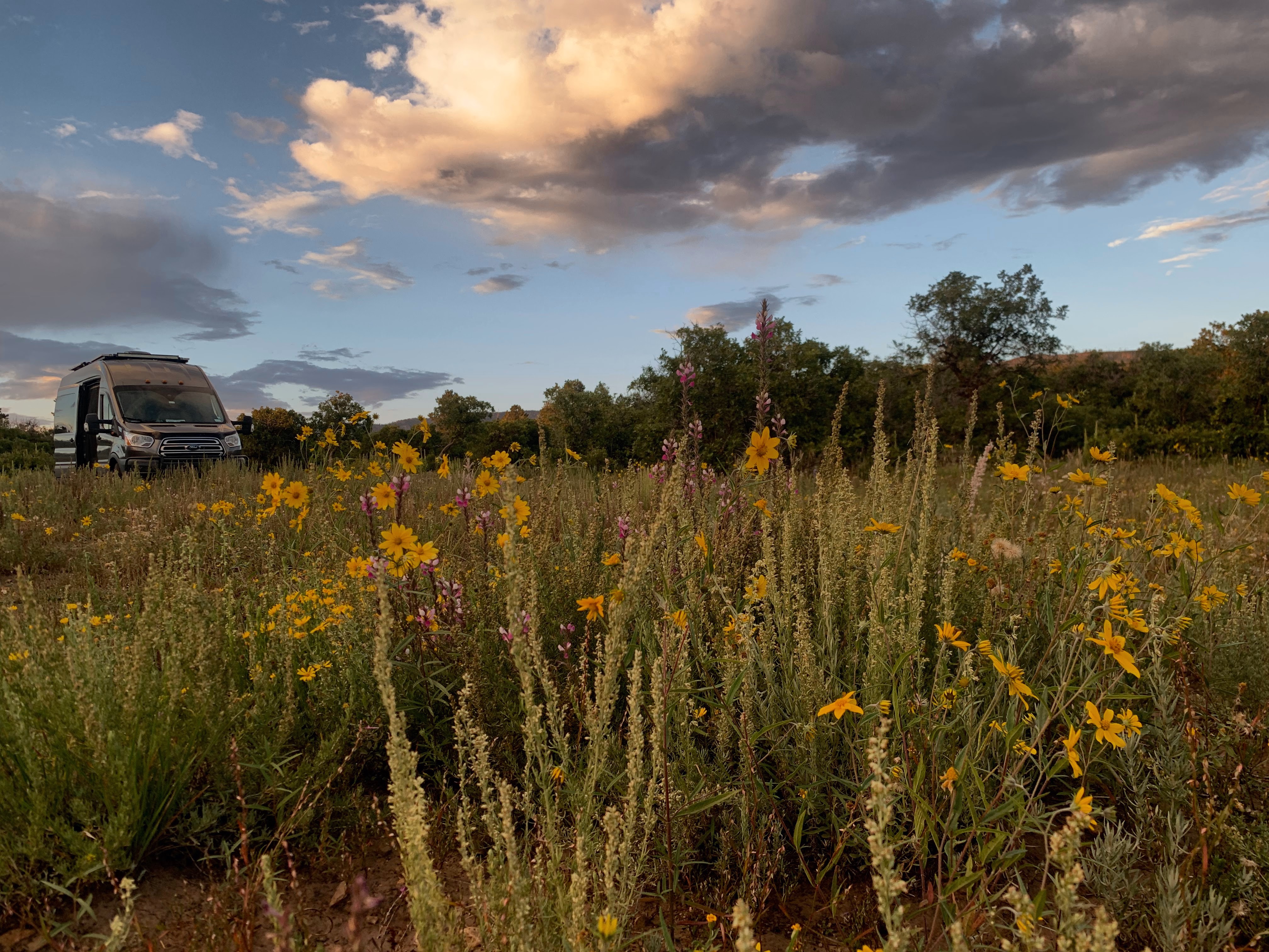 Bowling with Bumpers