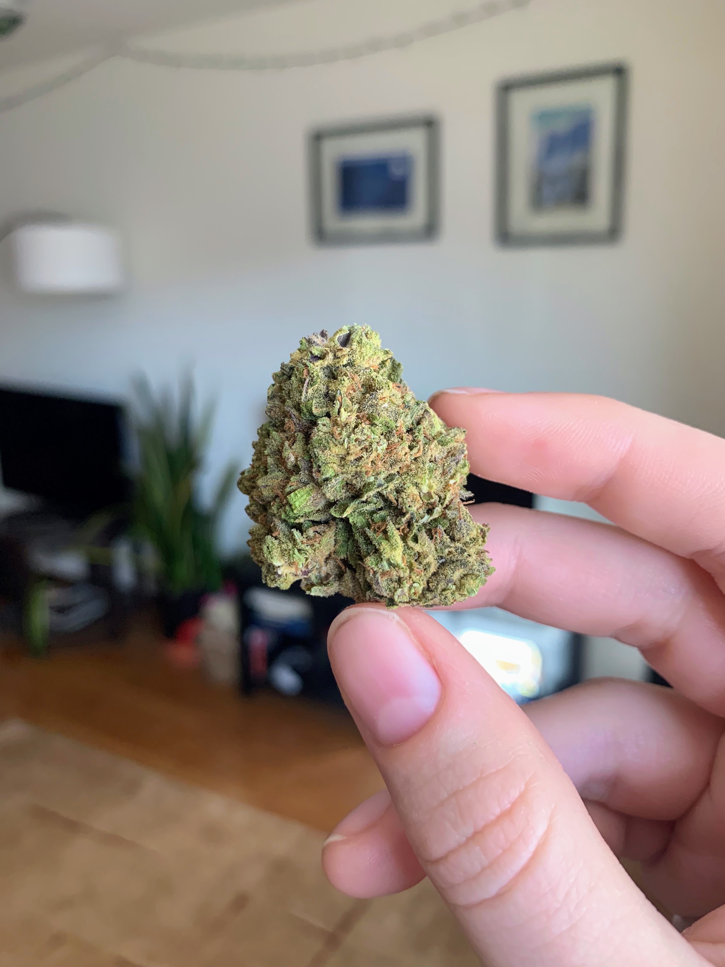 Pineapple Thai by HiFi Strain Review