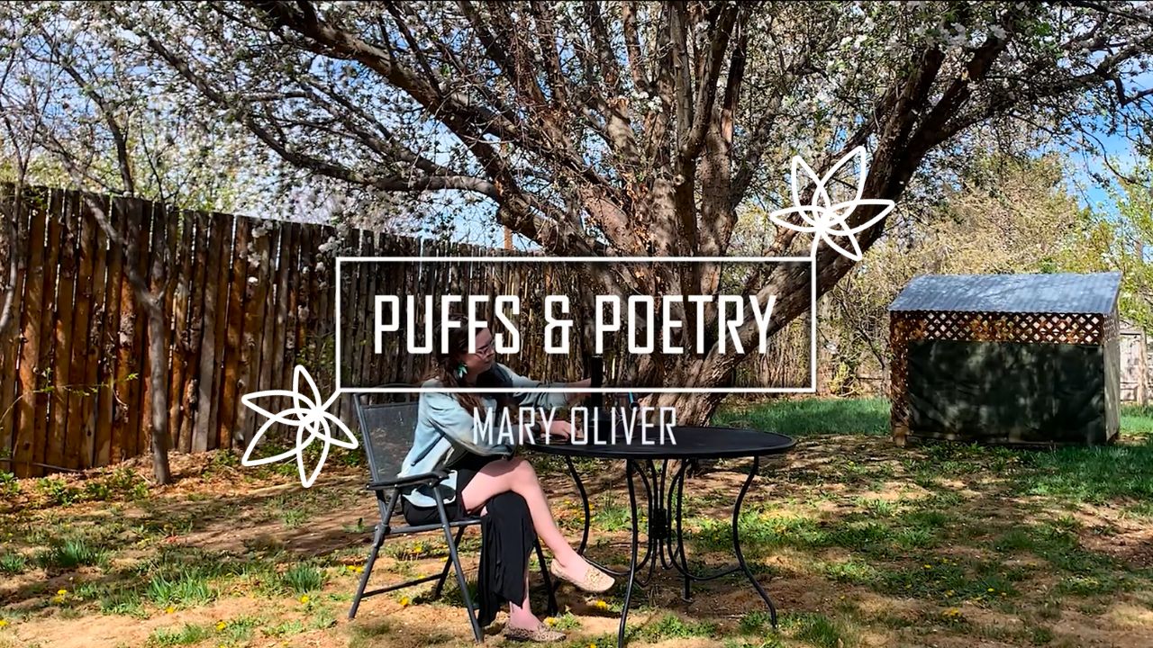 Puffs & Poetry Reads Mary Oliver in the Spring