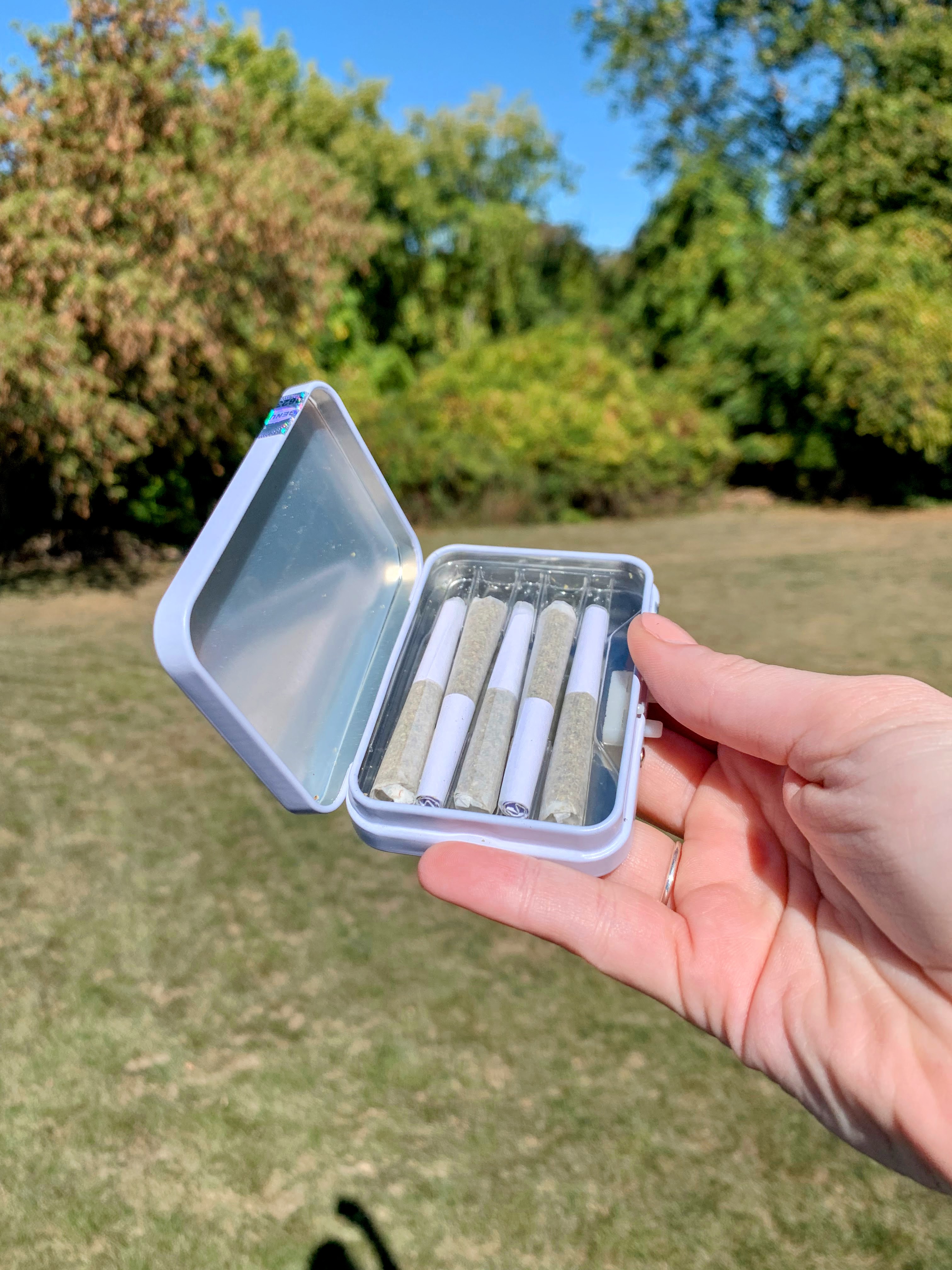 Purple Starfruit by Knack Prerolls Review