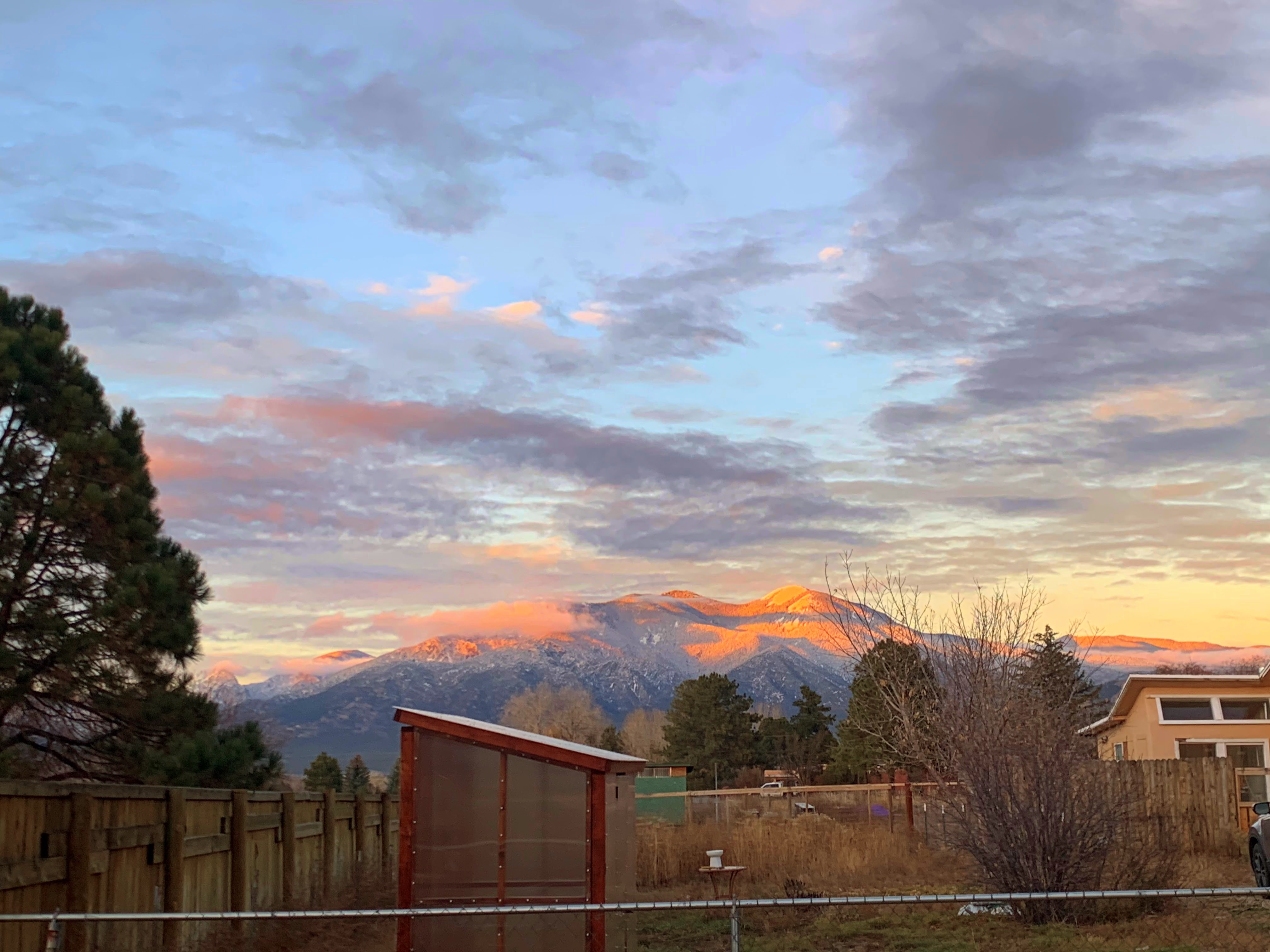 Looking Back & Walking Forward